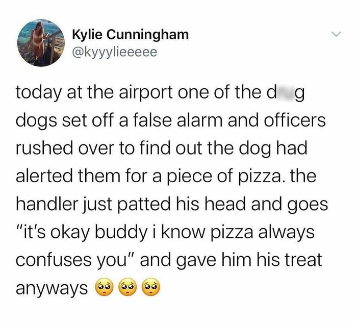 50 Hilarious Random Memes That Grumpy Millennials Might Especially Enjoy