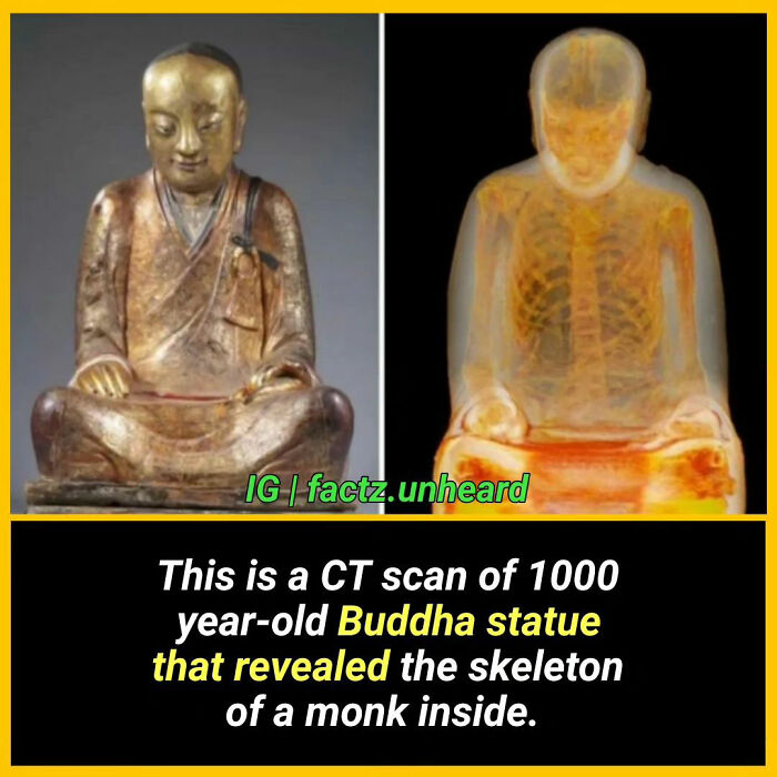 50 Random And Interesting Facts You Might Not Know About The World 50 Random And Interesting Facts You Might Not Know About The World