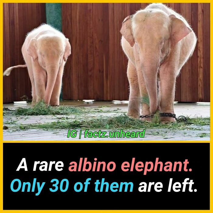 50 Random And Interesting Facts You Might Not Know About The World 50 Random And Interesting Facts You Might Not Know About The World