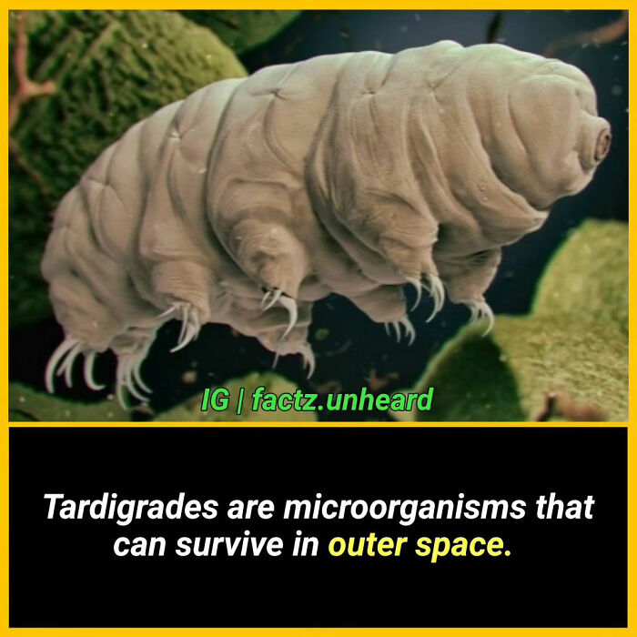 50 Random And Interesting Facts You Might Not Know About The World 50 Random And Interesting Facts You Might Not Know About The World