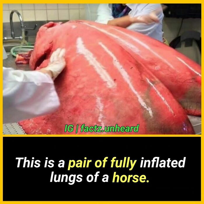 50 Random And Interesting Facts You Might Not Know About The World 50 Random And Interesting Facts You Might Not Know About The World