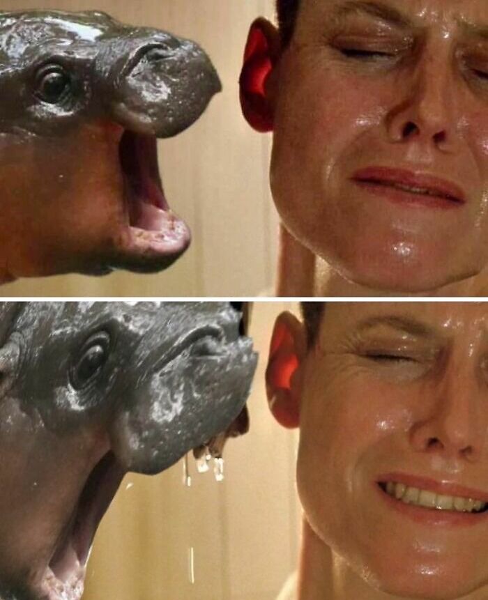 30 Hilarious Memes Inspired By Iconic Horror Movies, Courtesy Of This Facebook Page 30 Hilarious Memes Inspired By Iconic Horror Movies, Courtesy Of This Facebook Page