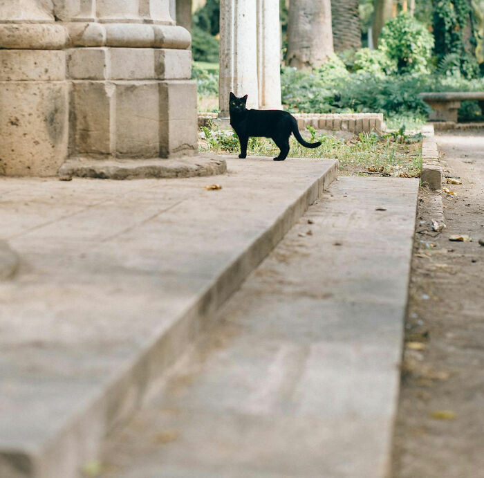 “She Then Called The Secret Service”: 30 Of The Worst Neighbor Experiences People Have Ever Had “She Then Called The Secret Service”: 30 Of The Worst Neighbor Experiences People Have Ever Had