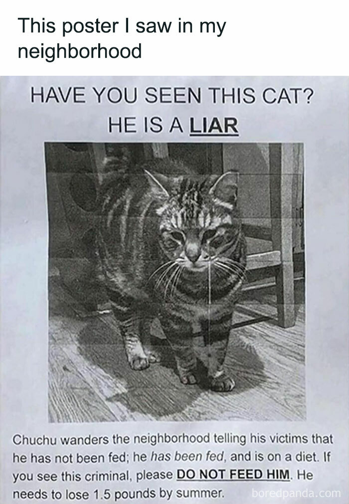 50 Mind-Numbing Memes For Anyone Who Needs A Good Laugh Today (New Pics) 50 Mind-Numbing Memes For Anyone Who Needs A Good Laugh Today (New Pics)