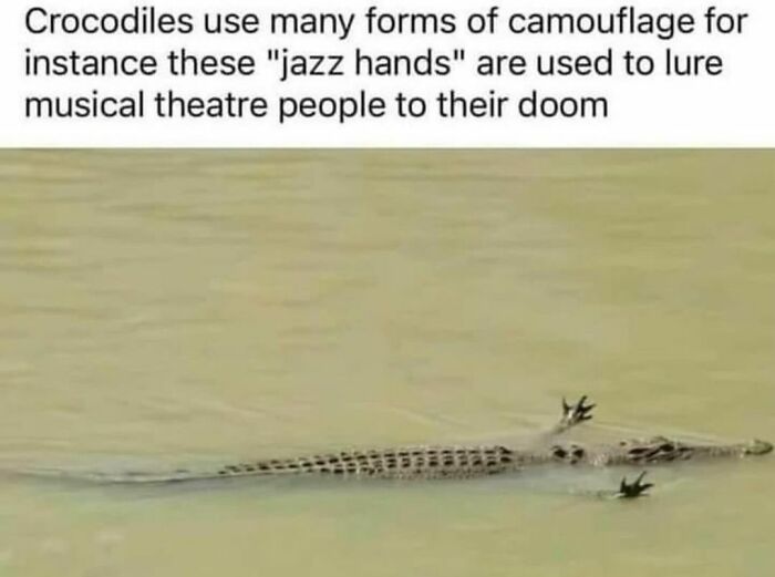 50 Mind-Numbing Memes For Anyone Who Needs A Good Laugh Today (New Pics) 50 Mind-Numbing Memes For Anyone Who Needs A Good Laugh Today (New Pics)