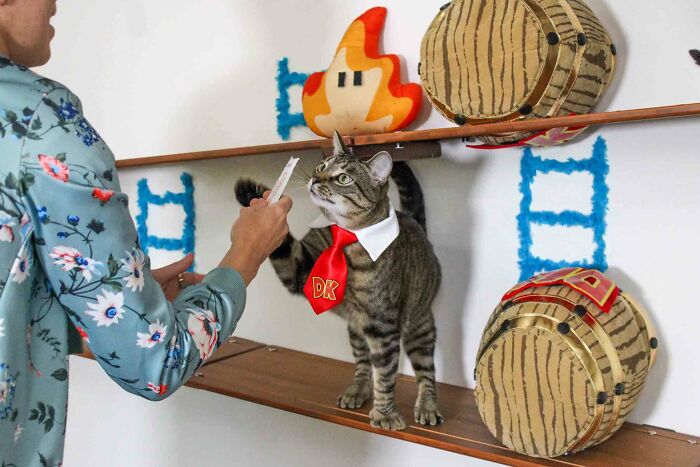 I Designed A Donkey Kong Cat Wall I Designed A Donkey Kong Cat Wall