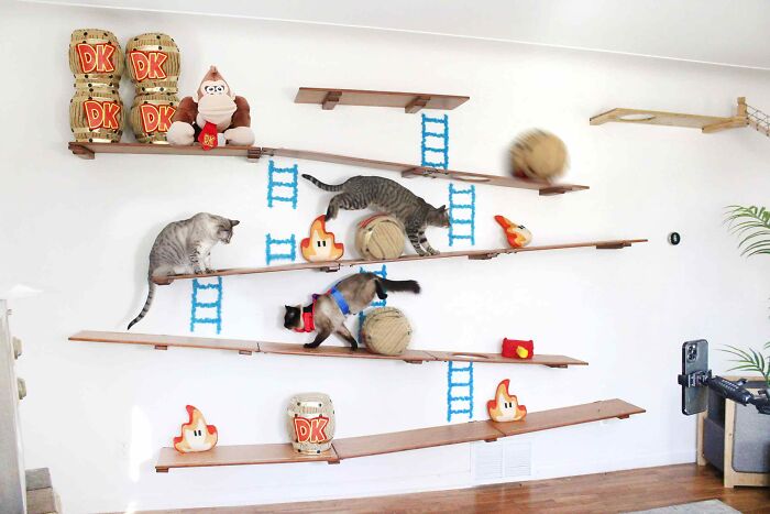 I Designed A Donkey Kong Cat Wall I Designed A Donkey Kong Cat Wall