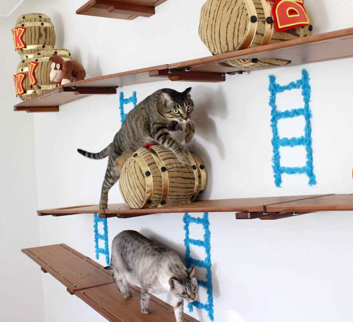 I Designed A Donkey Kong Cat Wall I Designed A Donkey Kong Cat Wall
