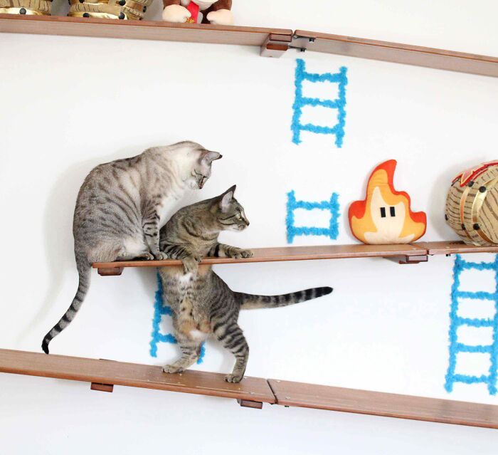 I Designed A Donkey Kong Cat Wall I Designed A Donkey Kong Cat Wall