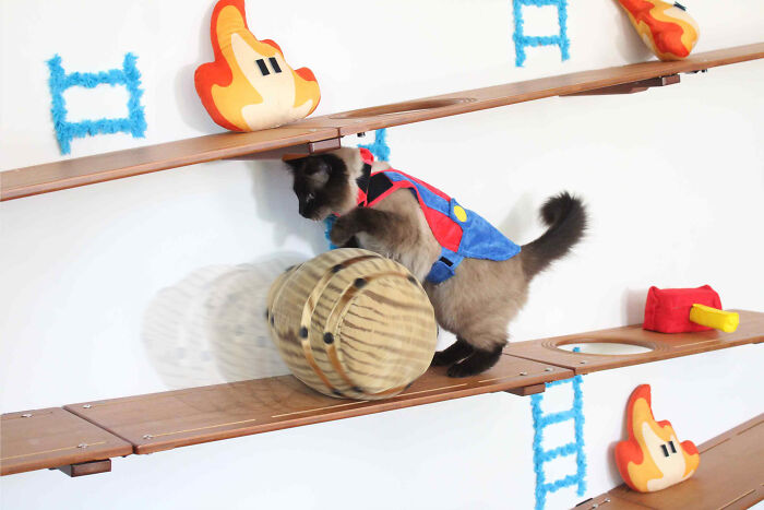 I Designed A Donkey Kong Cat Wall I Designed A Donkey Kong Cat Wall