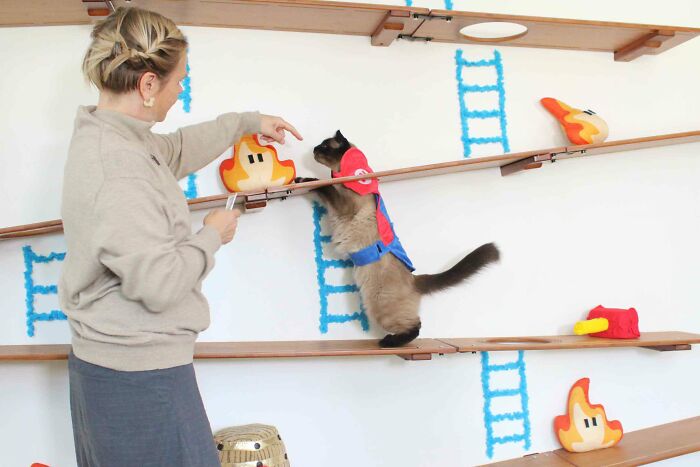 I Designed A Donkey Kong Cat Wall I Designed A Donkey Kong Cat Wall