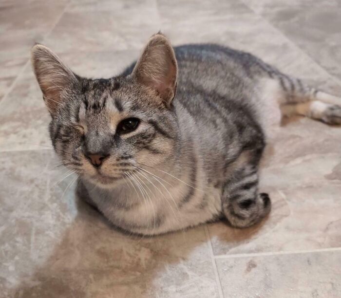 50 Adorable Pet Adoption Pictures To Make Your Day A Little Brighter (October Edition) 50 Adorable Pet Adoption Pictures To Make Your Day A Little Brighter (October Edition)