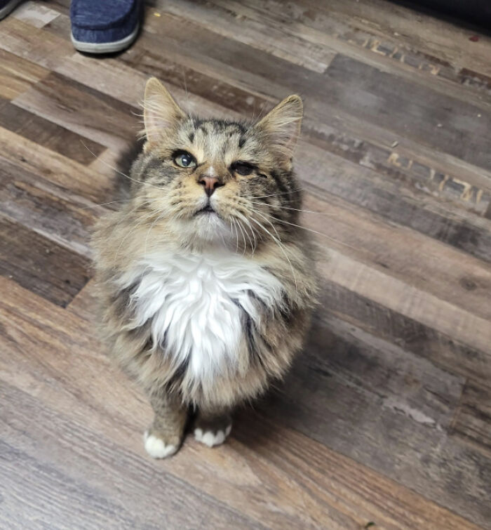 50 Adorable Pet Adoption Pictures To Make Your Day A Little Brighter (October Edition) 50 Adorable Pet Adoption Pictures To Make Your Day A Little Brighter (October Edition)