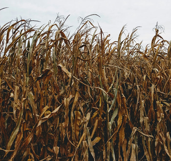 30 Times Scare Actors Couldn’t Continue Acting And Had To Break Character 30 Times Scare Actors Couldn’t Continue Acting And Had To Break Character