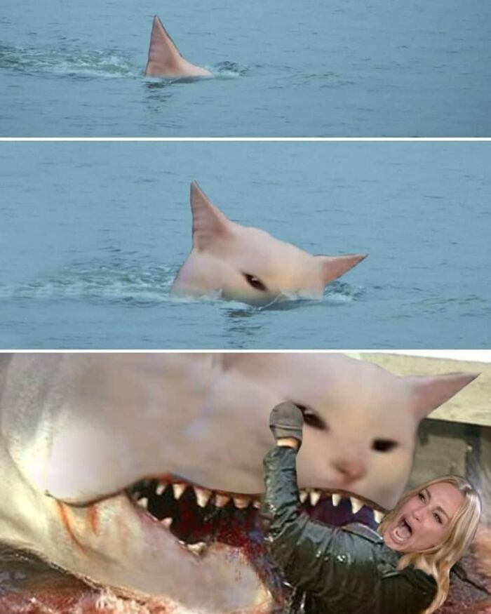 30 Hilarious Memes For The Horror And Halloween Fans 30 Hilarious Memes For The Horror And Halloween Fans