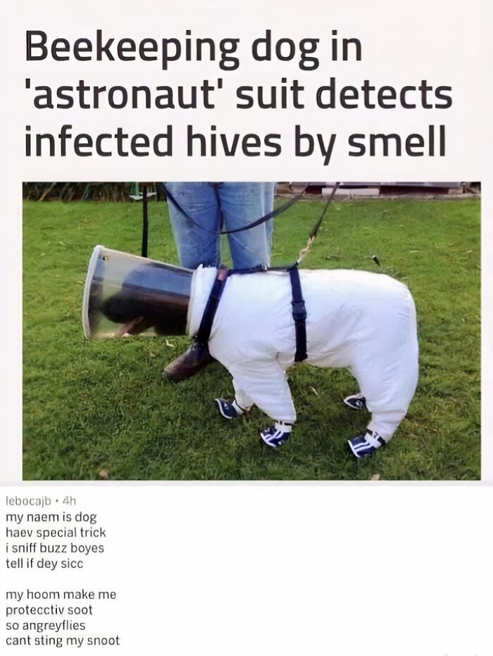 50 Times Animals Were Funnier And More Relatable Than People 50 Times Animals Were Funnier And More Relatable Than People