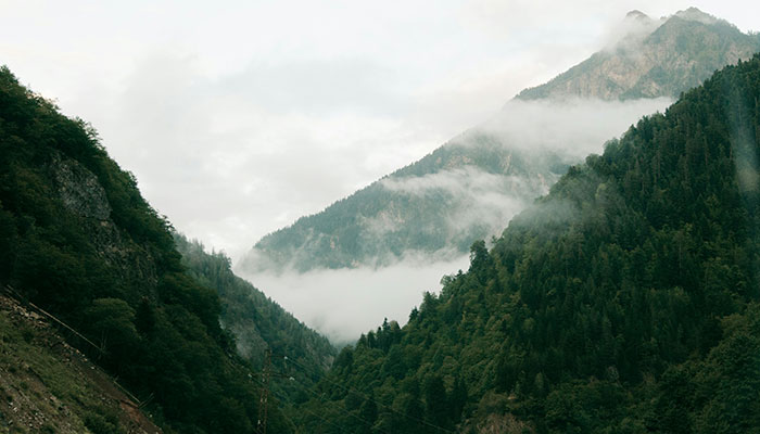 TikToker Shares Haunting Experience After Ignoring Warning About Whistling At Night TikToker Shares Haunting Experience After Ignoring Warning About Whistling At Night