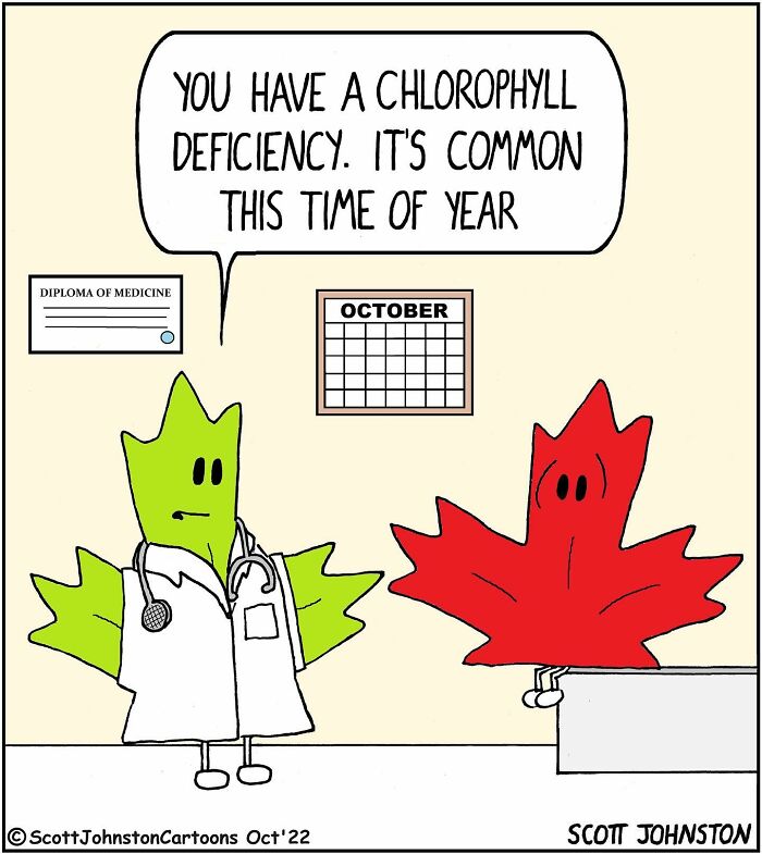 30 Funny One-Panel Comics By Canadian Cartoonist Scott Johnston (New Pics) 30 Funny One-Panel Comics By Canadian Cartoonist Scott Johnston (New Pics)