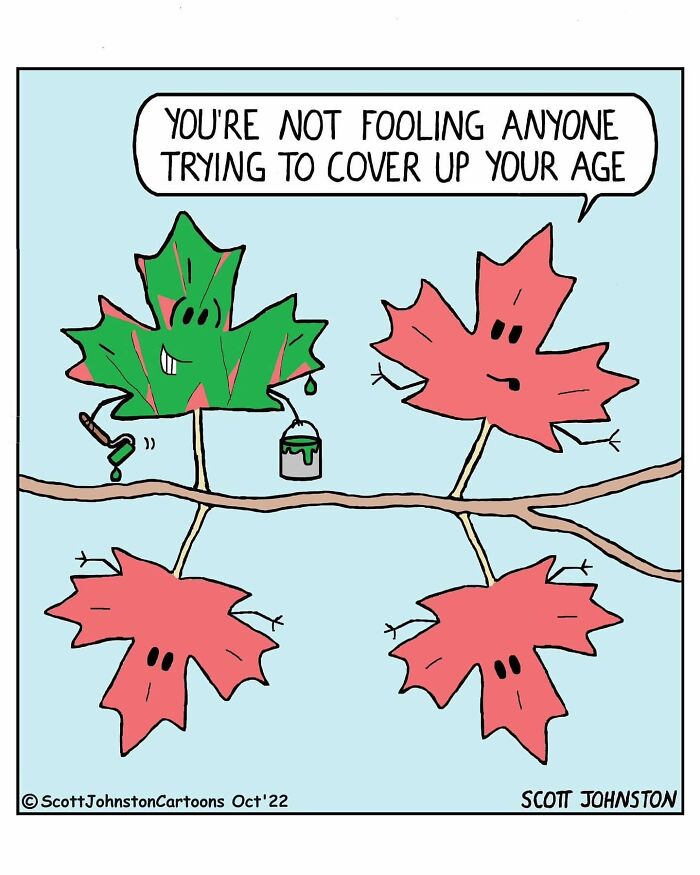 30 Funny One-Panel Comics By Canadian Cartoonist Scott Johnston (New Pics) 30 Funny One-Panel Comics By Canadian Cartoonist Scott Johnston (New Pics)
