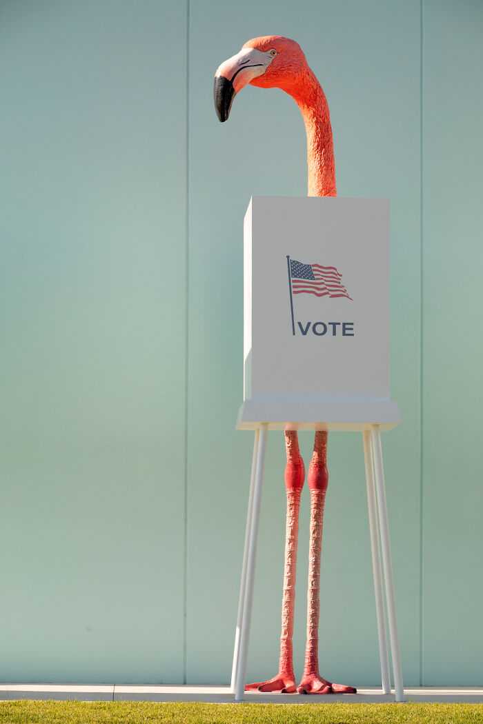 Flamingo Fever: Inspiring Votes With A Pop Of Pink (17 Pics) Flamingo Fever: Inspiring Votes With A Pop Of Pink (17 Pics)