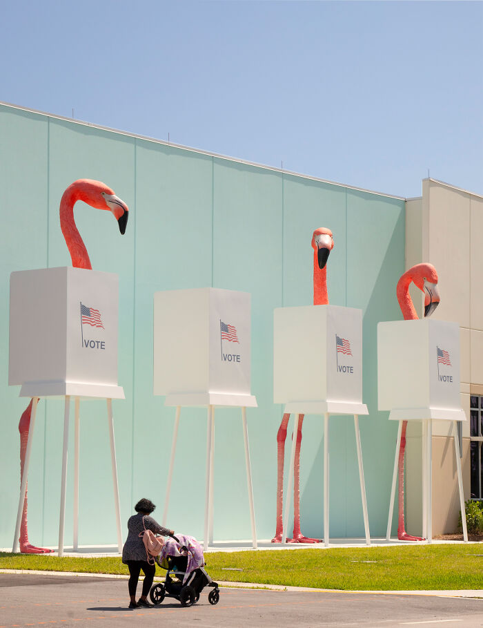 Flamingo Fever: Inspiring Votes With A Pop Of Pink (17 Pics) Flamingo Fever: Inspiring Votes With A Pop Of Pink (17 Pics)