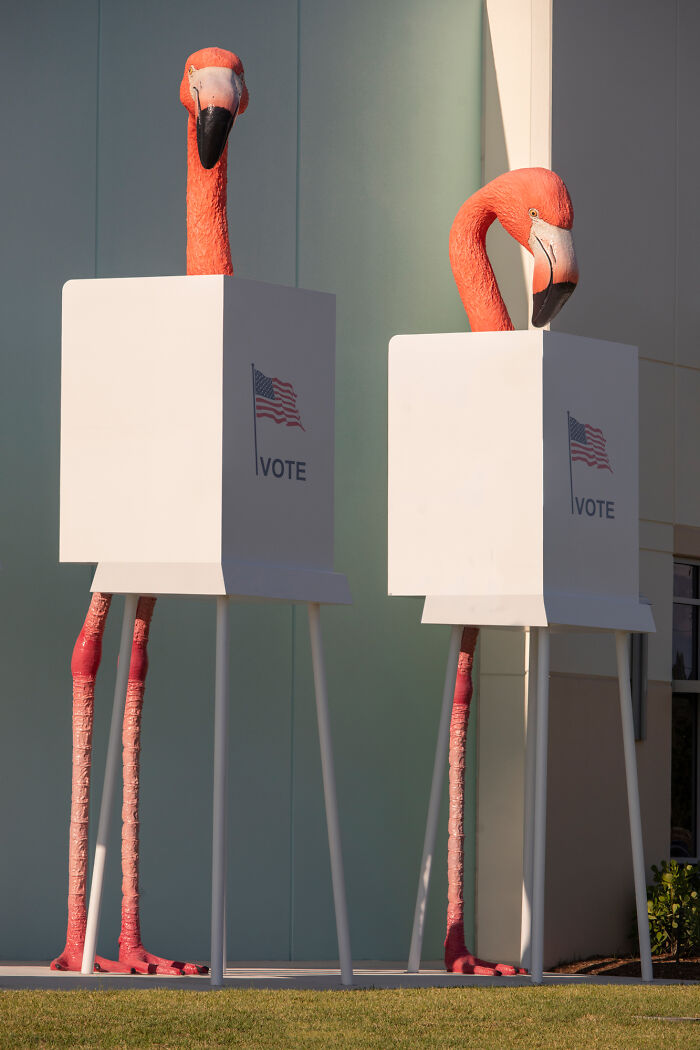 Flamingo Fever: Inspiring Votes With A Pop Of Pink (17 Pics) Flamingo Fever: Inspiring Votes With A Pop Of Pink (17 Pics)