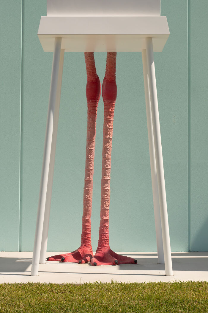 Flamingo Fever: Inspiring Votes With A Pop Of Pink (17 Pics) Flamingo Fever: Inspiring Votes With A Pop Of Pink (17 Pics)