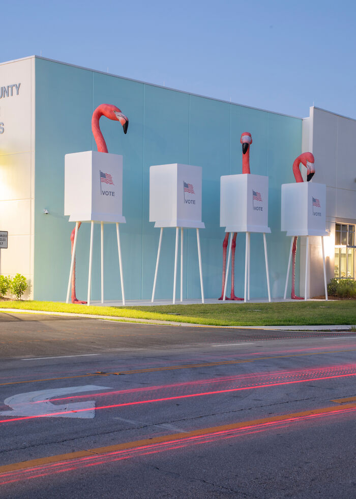 Flamingo Fever: Inspiring Votes With A Pop Of Pink (17 Pics) Flamingo Fever: Inspiring Votes With A Pop Of Pink (17 Pics)