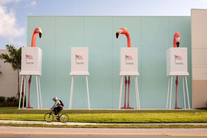 Flamingo Fever: Inspiring Votes With A Pop Of Pink (17 Pics) Flamingo Fever: Inspiring Votes With A Pop Of Pink (17 Pics)