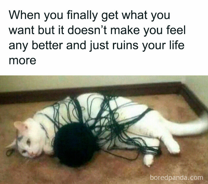 Intellectuals Are Cracking Up At These 50 Memes That Were Created Specially For Them Intellectuals Are Cracking Up At These 50 Memes That Were Created Specially For Them