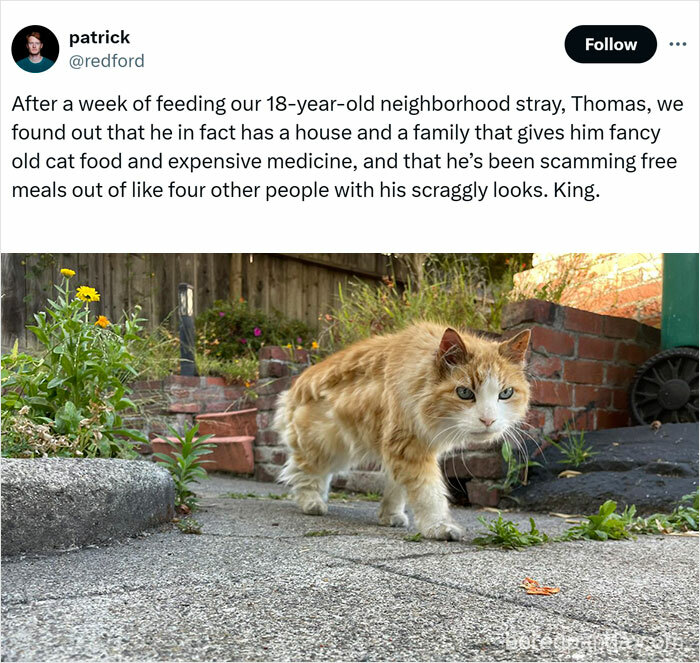 Caught In The Act: 50 Hilarious Posts That Show Cats Being The Jerks We Love (New Pics) Caught In The Act: 50 Hilarious Posts That Show Cats Being The Jerks We Love (New Pics)