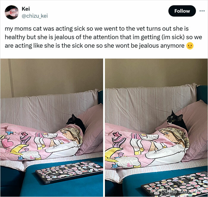 Caught In The Act: 50 Hilarious Posts That Show Cats Being The Jerks We Love (New Pics) Caught In The Act: 50 Hilarious Posts That Show Cats Being The Jerks We Love (New Pics)