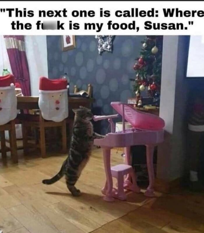 Caught In The Act: 50 Hilarious Posts That Show Cats Being The Jerks We Love (New Pics) Caught In The Act: 50 Hilarious Posts That Show Cats Being The Jerks We Love (New Pics)