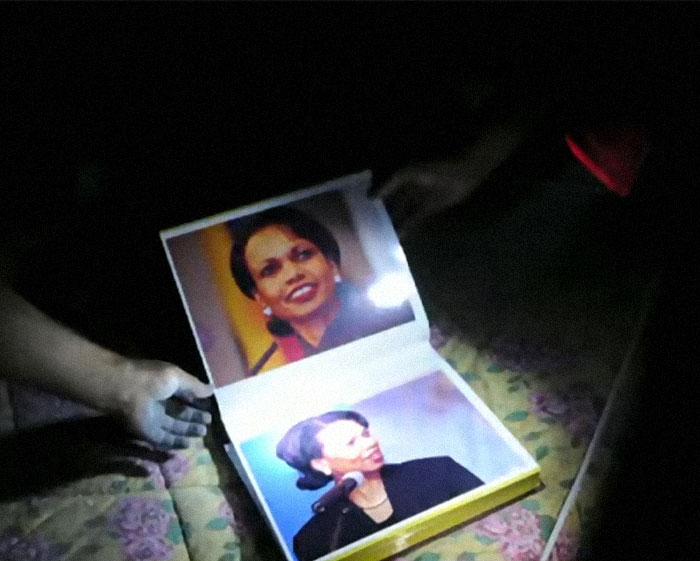 &ldquo;2,055 Brown Recluse Spiders Were Collected&rdquo;: 30 &ldquo;Today I Learned&rdquo; Facts, From Shocking To Cool