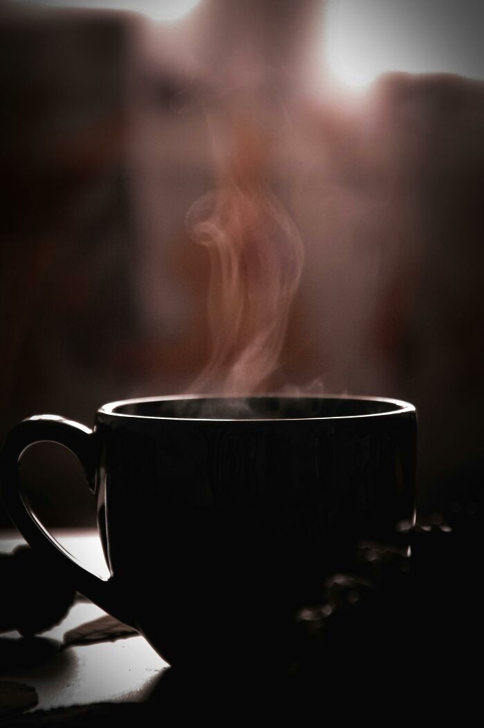 &ldquo;2,055 Brown Recluse Spiders Were Collected&rdquo;: 30 &ldquo;Today I Learned&rdquo; Facts, From Shocking To Cool