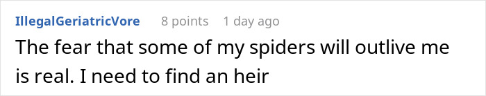 Spider Living Her 3rd Decade Ends Up In A House Fire, Gets Heroically Saved By The Firefighters Spider Living Her 3rd Decade Ends Up In A House Fire, Gets Heroically Saved By The Firefighters