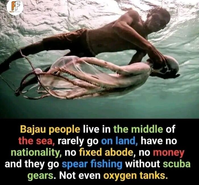 50 Unique And Random Facts You Can Use In Conversations When You Run Out Of Things To Say 50 Unique And Random Facts You Can Use In Conversations When You Run Out Of Things To Say