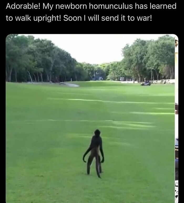 30 Times This Instagram Account Made Its Followers Smirk With Some Spot-On ‘Sadistic Memes’ 30 Times This Instagram Account Made Its Followers Smirk With Some Spot-On ‘Sadistic Memes’