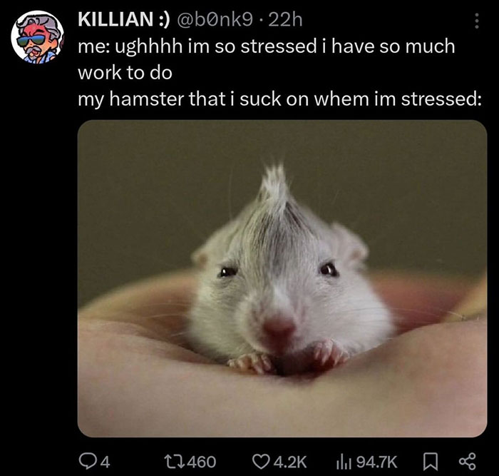 30 Hamster Memes That Will Have You Squeaking With Laughter 30 Hamster Memes That Will Have You Squeaking With Laughter
