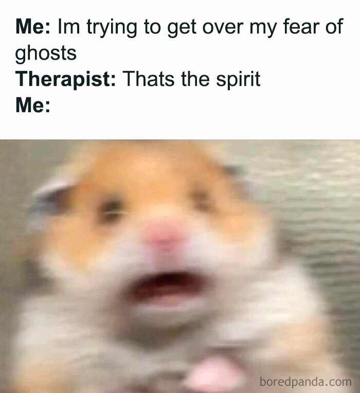 30 Hamster Memes That Will Have You Squeaking With Laughter 30 Hamster Memes That Will Have You Squeaking With Laughter