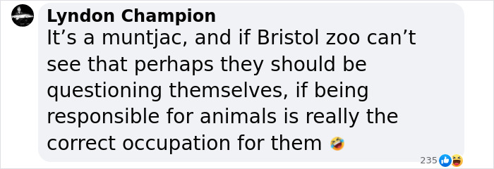 &#8220;Is It A Unicorn?&#8221;: Zoo Officials Stumped By &#8220;Mysterious Winged And Horned Creature&#8221; Caught On Camera