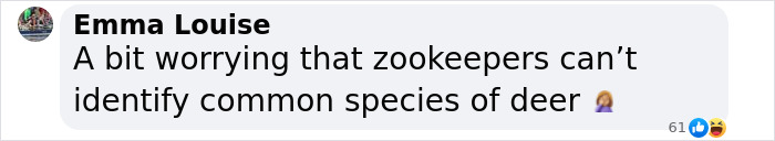 &#8220;Is It A Unicorn?&#8221;: Zoo Officials Stumped By &#8220;Mysterious Winged And Horned Creature&#8221; Caught On Camera