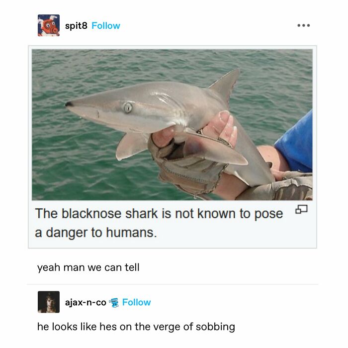 50 Wholesome Memes And Posts That Remind Us The World Isn’t All Bad 50 Wholesome Memes And Posts That Remind Us The World Isn’t All Bad