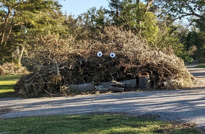 50 Times People Were So Proud Of Their Outdoor Halloween Decorations, They Had to Share Them (New Pics) 50 Times People Were So Proud Of Their Outdoor Halloween Decorations, They Had to Share Them (New Pics)