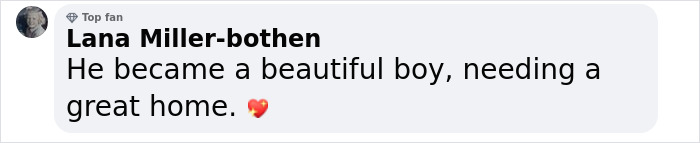 Terribly Neglected Dog Gets Rescued, Reveals His Full Beauty When He Heals And Grows Back His Fur Terribly Neglected Dog Gets Rescued, Reveals His Full Beauty When He Heals And Grows Back His Fur