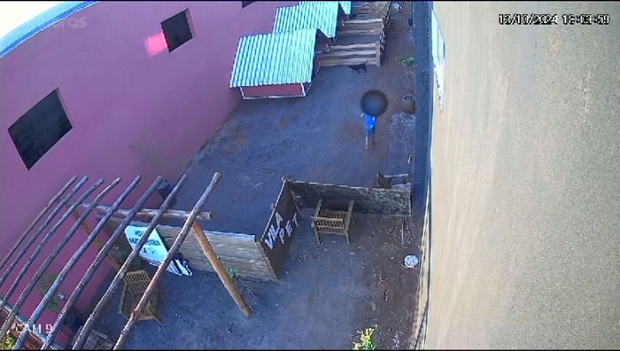 “I’m In Denial”: 9-Year-Old Takes Lives Of 23 Animals In Brutal Incident “I’m In Denial”: 9-Year-Old Takes Lives Of 23 Animals In Brutal Incident