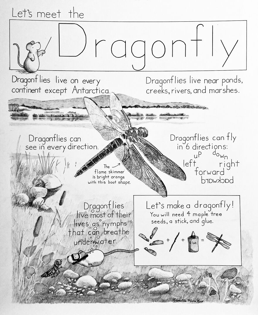 My 23 Illustrations Of A Mouse And His Friends Traveling Through The World My 23 Illustrations Of A Mouse And His Friends Traveling Through The World