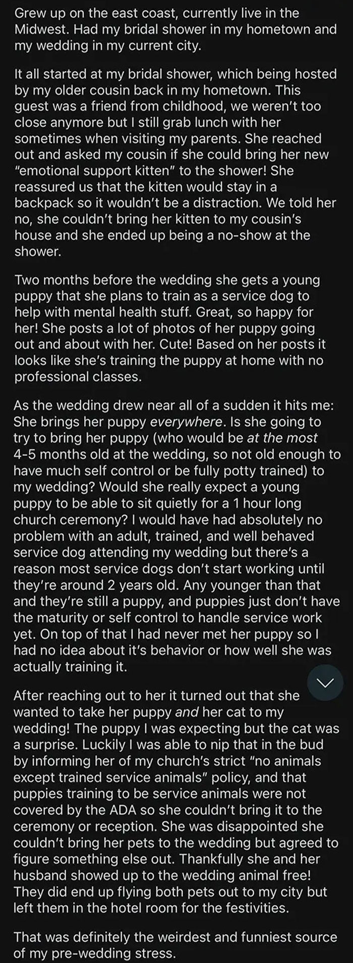 50 Trashy Wedding Guests That Deserved To Be Shamed 50 Trashy Wedding Guests That Deserved To Be Shamed