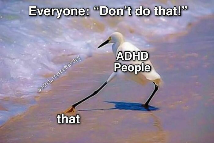 40 Relatable ADHD Memes For The Easily Distracted 40 Relatable ADHD Memes For The Easily Distracted