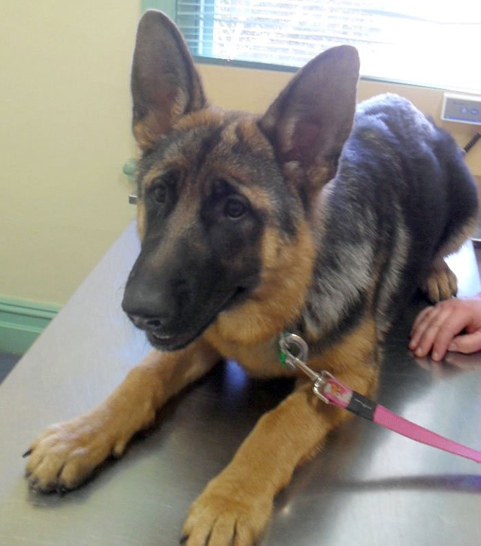 “Flushable Wipes”: 50 Things That Need To Be Renamed “Flushable Wipes”: 50 Things That Need To Be Renamed